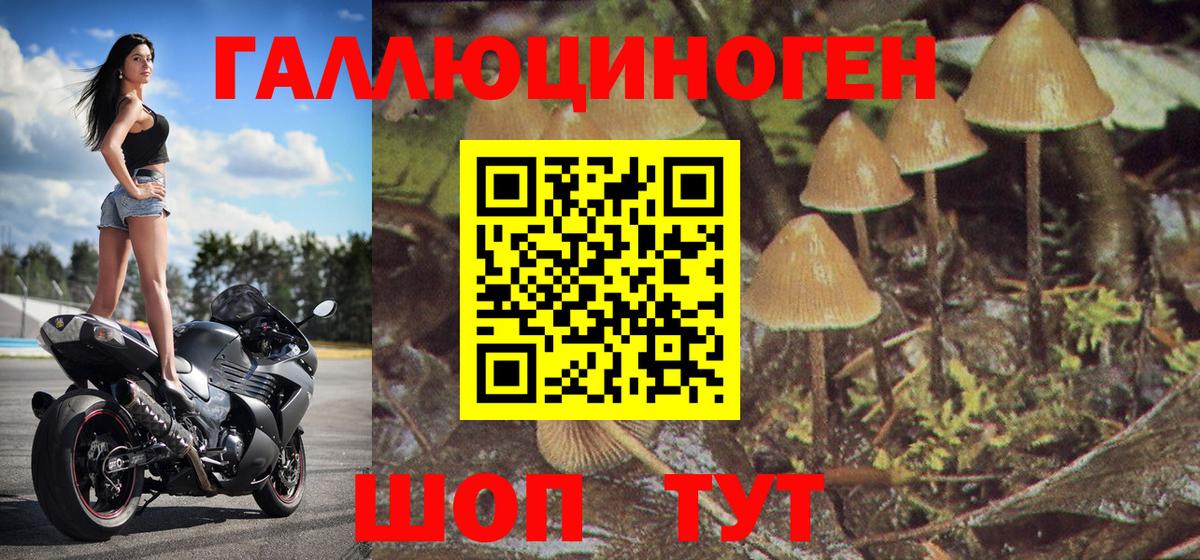 Галлюциногенные грибы мухоморы Йошкар-Ола